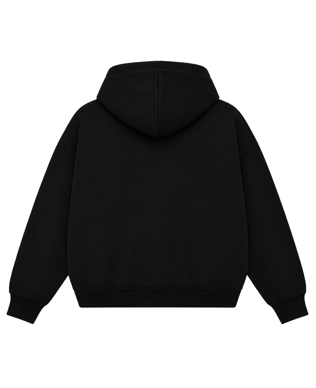 Black Boxy Dual Zipper Hoodie Back Design