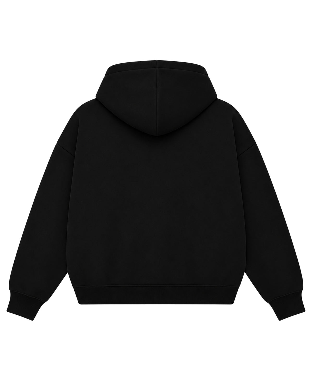 Black Boxy Dual Zipper Hoodie Back Design