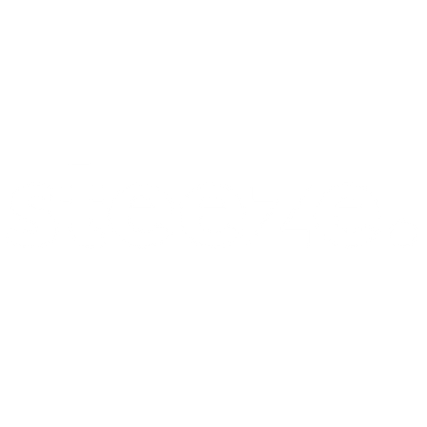 Steeze